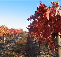 Kooyonga Creek Wines - Accommodation Southport