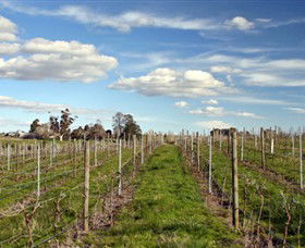 Rowanston On The Track Winery & Bed And Breakfast - Southport Accommodation 1