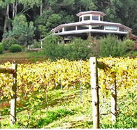 Peveril Vineyard/Beechy Berries - Southport Accommodation