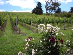 Canberra And Surrounds ACT Southport Accommodation