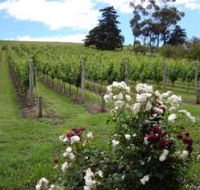Pembroke Estate Vineyard - Southport Accommodation