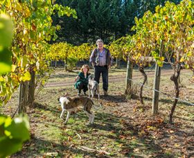 Taggerty VIC Accommodation Southport
