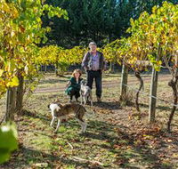 Little River Wines of Taggerty - Accommodation Southport