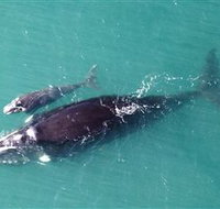 Fazshot Photography - Accommodation Southport