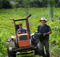 Kellybrook Winery Kelly Brothers Cider  Riders Brew Co. - Southport Accommodation