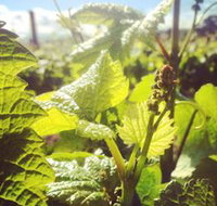 Punt Road Winery - Accommodation Southport