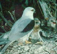 Bushy Park Wetlands - Accommodation Southport