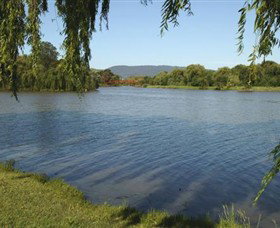 Caribbean Gardens And Market - Southport Accommodation 2
