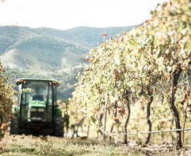 Logan Wines - Accommodation Southport 5