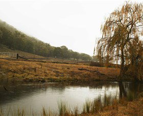 Logan Wines - Accommodation Southport 6