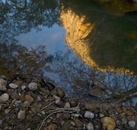 Abercrombie Karst Conservation Reserve - Southport Accommodation