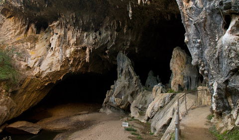 Abercrombie Karst Conservation Reserve - Southport Accommodation 2