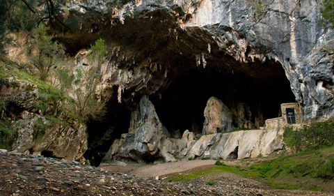 Abercrombie Karst Conservation Reserve - Southport Accommodation 3