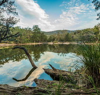 Warrabah National Park - Southport Accommodation