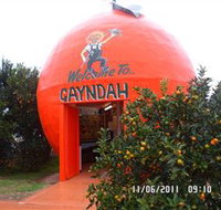 Gayndahs Big Orange - Southport Accommodation