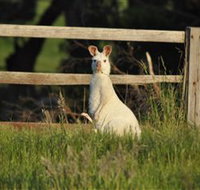 Panorama Garden Estate - Accommodation Southport