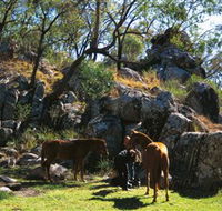 Coomba Falls - Southport Accommodation