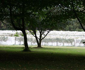 Staindl Wines - Southport Accommodation 0