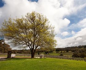 Tuck's Ridge - Southport Accommodation 2