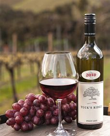 Tuck's Ridge - Southport Accommodation 4