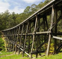 Noojee Trestle Bridge - Accommodation Southport