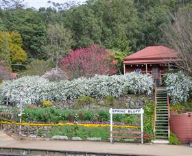 Spring Bluff Railway Station - Southport Accommodation 1