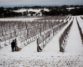 Savina Lane Premum Wines - Southport Accommodation 2