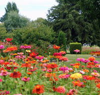 Alma Park - Accommodation Southport