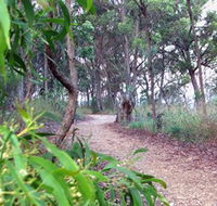 Mount Mutton Walking Trail - Accommodation Southport