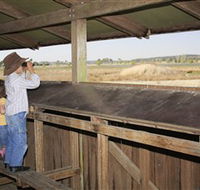 Dangars Lagoon and Racecourse Lagoon - Accommodation Southport