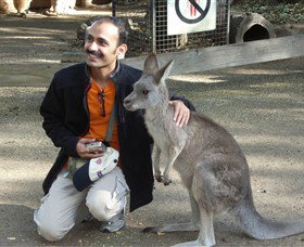 Activity Tours Australia - Accommodation Southport 3