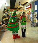  Accommodation Southport