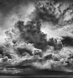 Annandale Galleries - Accommodation Southport 0