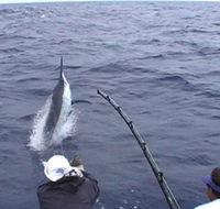 Amokura Charters - Accommodation Southport