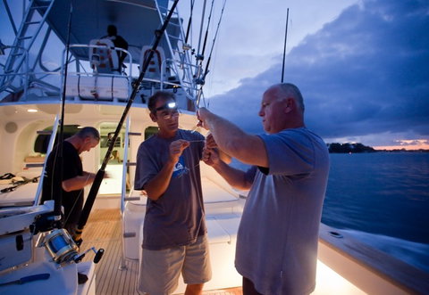 Amokura Charters - Accommodation Southport 1