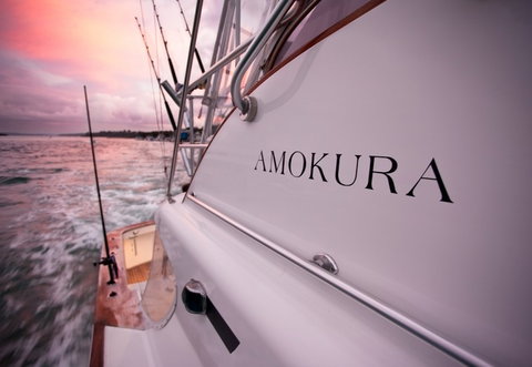 Amokura Charters - Accommodation Southport 4