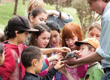 Blackbutt Reserve - Accommodation Southport 2