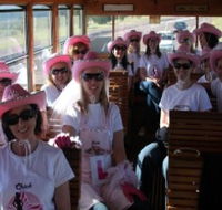 Newcastles Famous Tram - Accommodation Southport