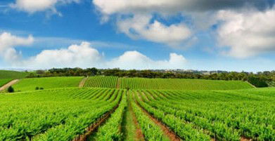 Sydney Weekend Adventures - Accommodation Southport 2