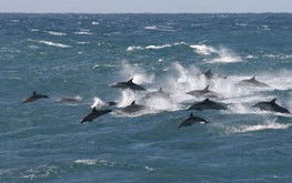  Accommodation Southport