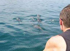 Tex Tours - Accommodation Southport 3