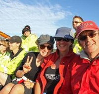 Byron Bay Whale Watching - Accommodation Southport