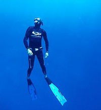 Byron Bay Dive Centre - Accommodation Southport 1