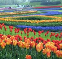 Botanica World Discoveries - Accommodation Southport