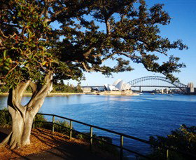 Royal Botanic Gardens And The Domain - Accommodation Southport 3