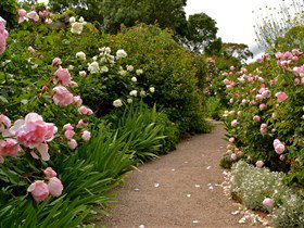 Ross Garden Tours - Southport Accommodation 0