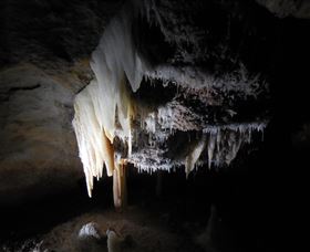 Country Charmâ„¢ Discovery Tours - Accommodation Southport 1