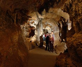 Country Charmâ„¢ Discovery Tours - Accommodation Southport 3