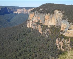 Country Charmâ„¢ Discovery Tours - Accommodation Southport 4