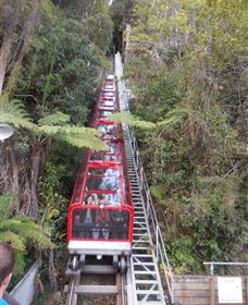 Country Charmâ„¢ Discovery Tours - Accommodation Southport 6